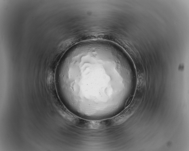 X0000097990623200804071153