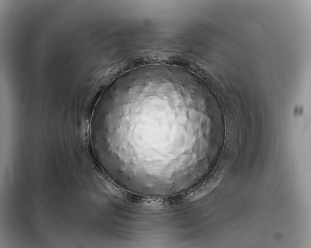 X0000097990624200804071153