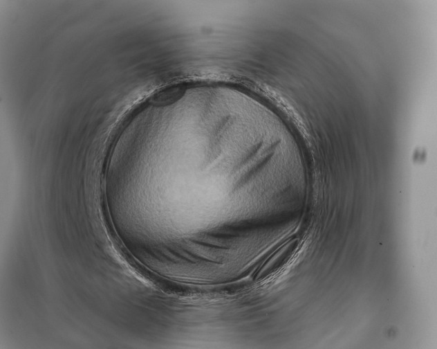 X0000097990625200804071152