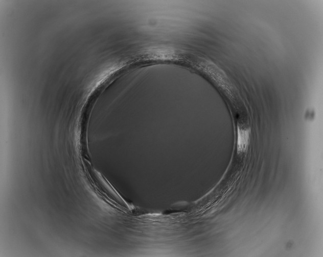 X0000097990627200804071152