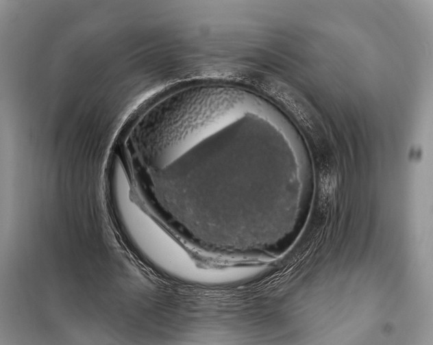 X0000097990628200804071152