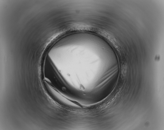X0000097990629200804071152