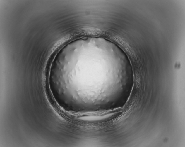 X0000097990630200804071152