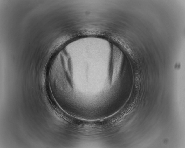 X0000097990631200804071152