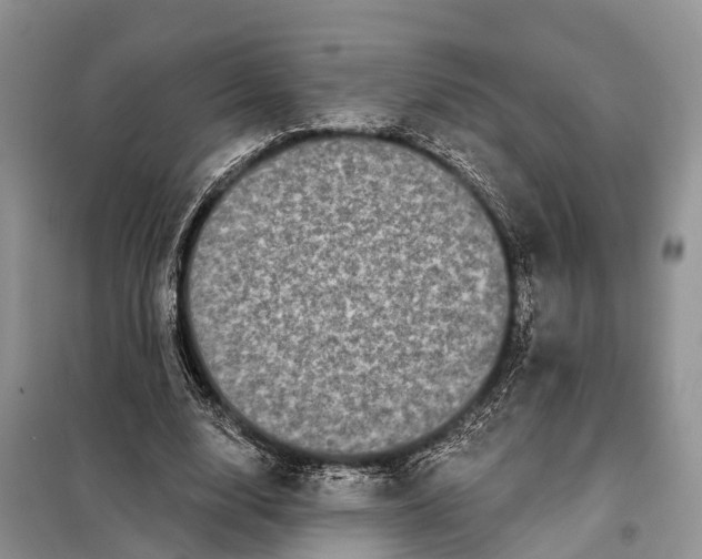 X0000097990632200804071152