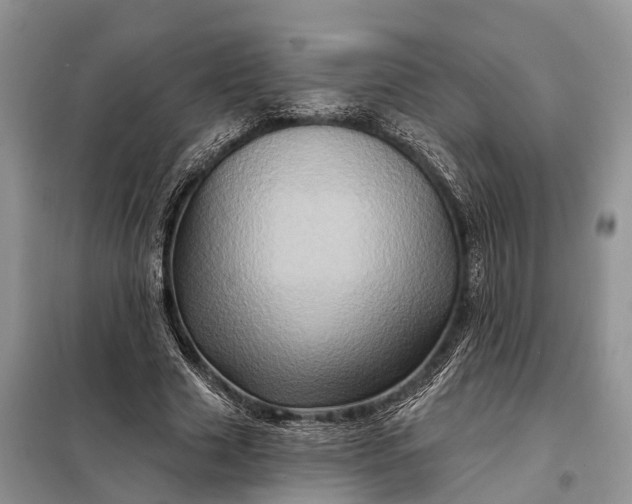 X0000097990633200804071152