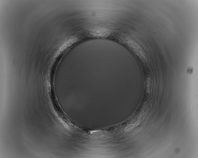 X0000097990634200804071152
