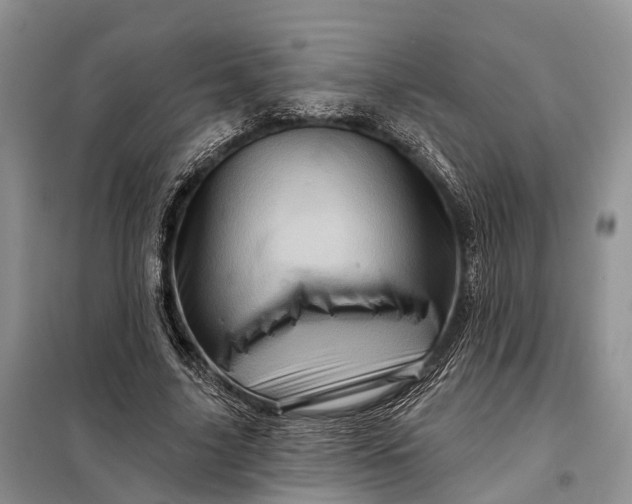 X0000097990635200804071152