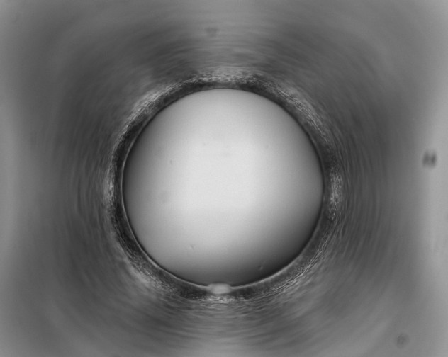 X0000097990636200804071152