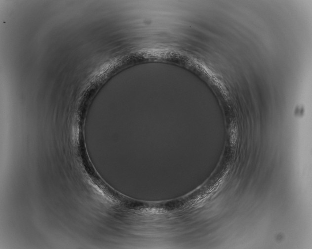 X0000097990637200804071152