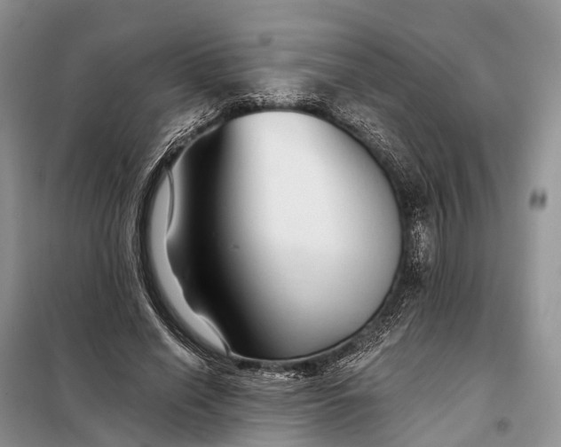 X0000097990638200804071152