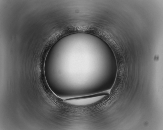 X0000097990639200804071152