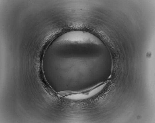 X0000097990640200804071152