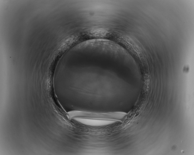 X0000097990641200804071152