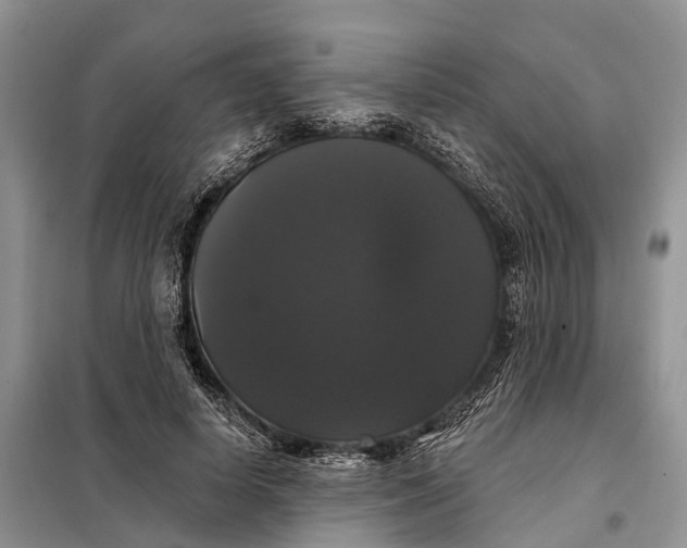 X0000097990642200804071152
