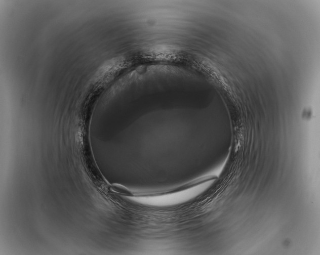 X0000097990643200804071152