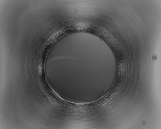 X0000097990644200804071152