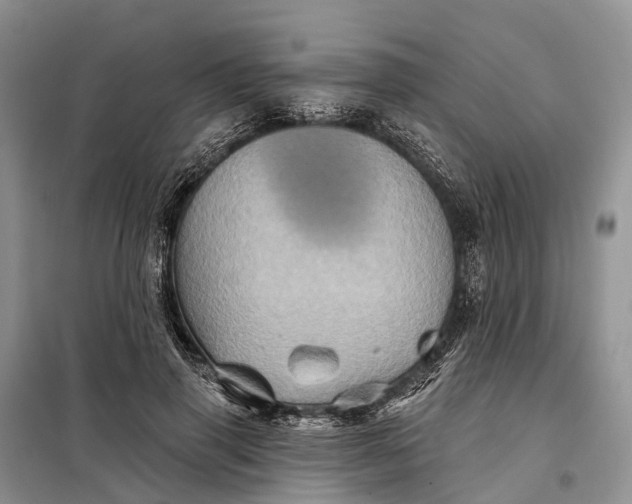 X0000097990645200804071153