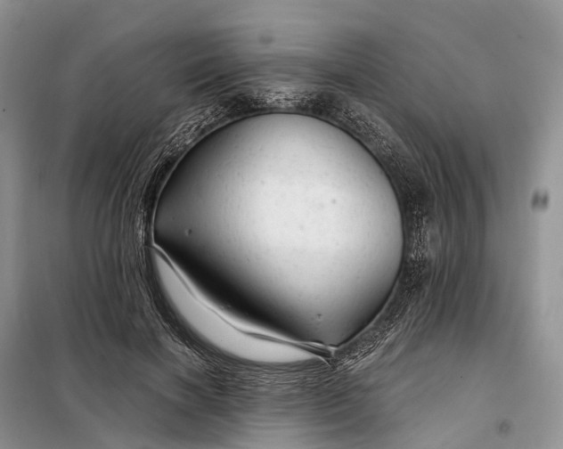 X0000097990646200804071153