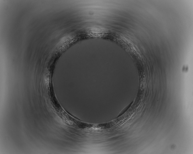X0000097990647200804071153