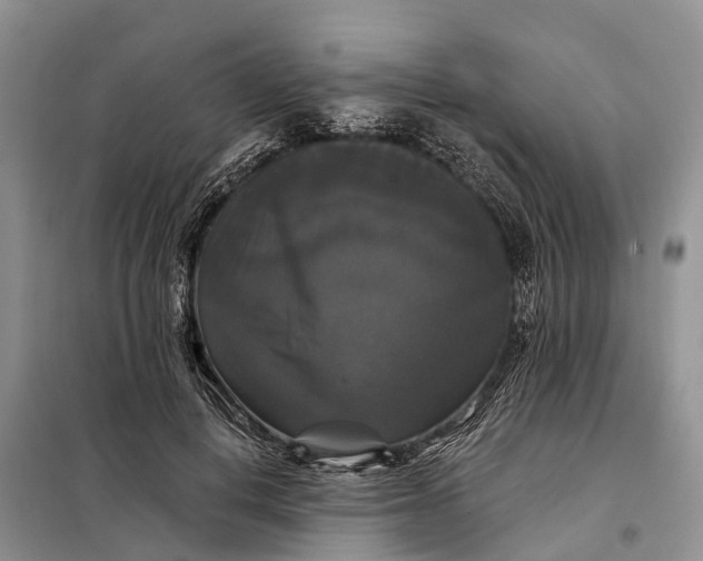 X0000097990648200804071153