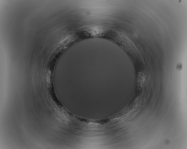 X0000097990650200804071153