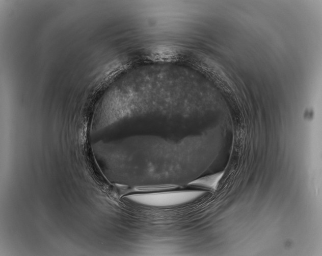 X0000097990652200804071153