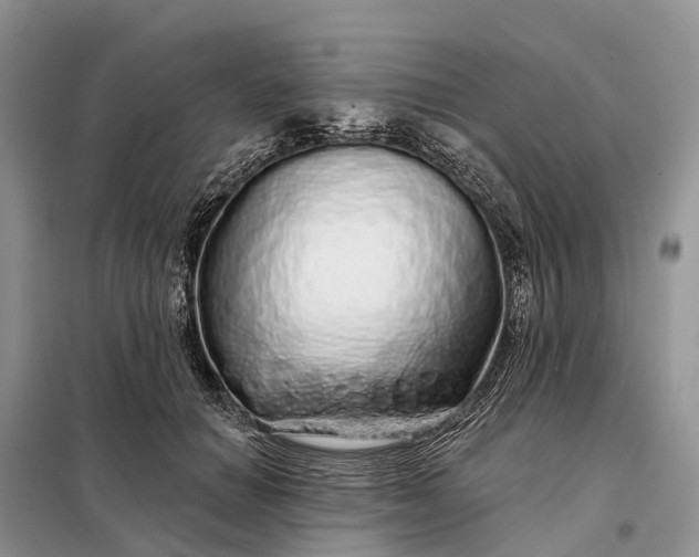 X0000097990654200804071153