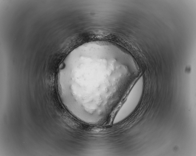 X0000097990657200804071153