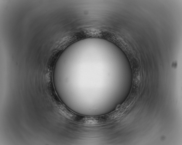 X0000097990658200804071153
