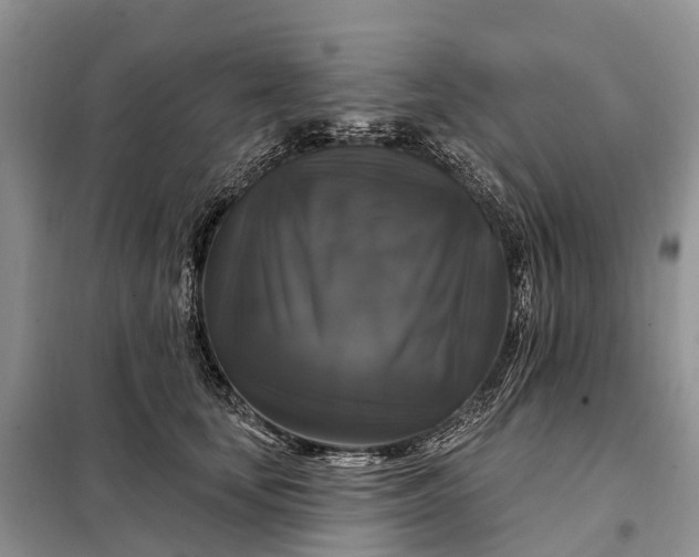 X0000097990659200804071153