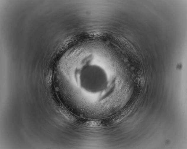 X0000097990660200804071153