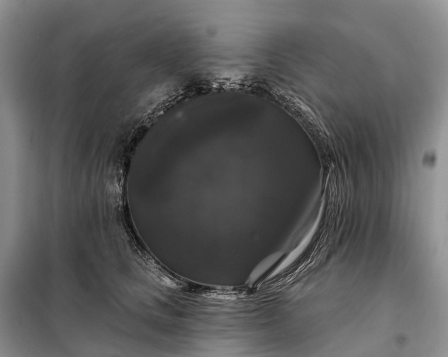 X0000097990661200804071153
