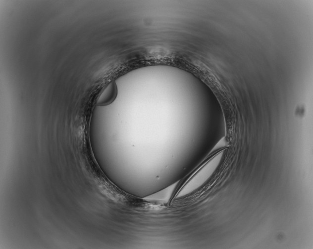 X0000097990662200804071153