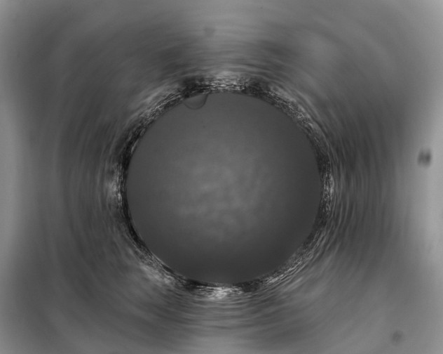 X0000097990663200804071153