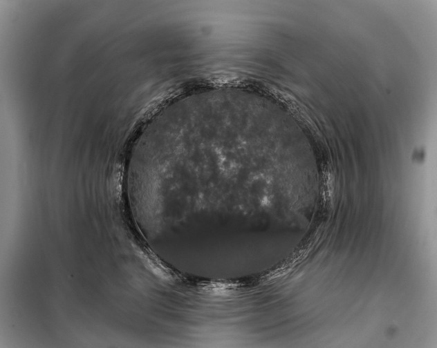X0000097990664200804071153