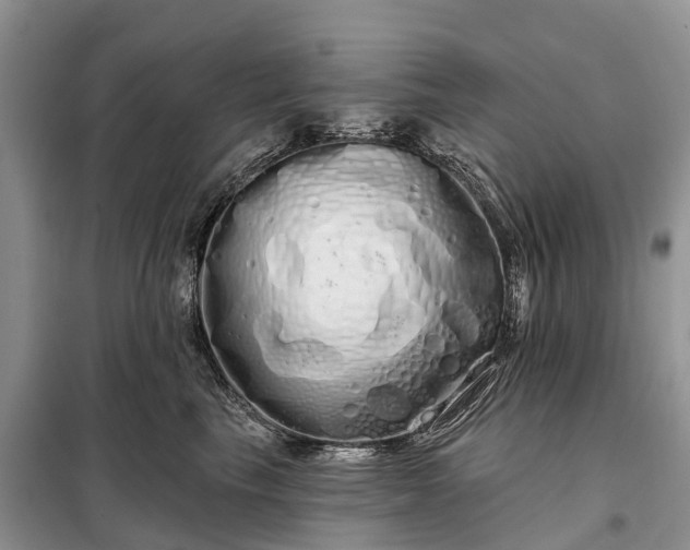 X0000097990665200804071153