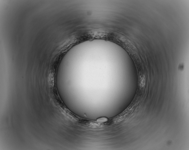 X0000097990666200804071153