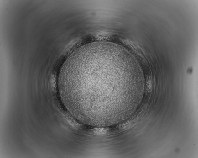 X0000097990667200804071153