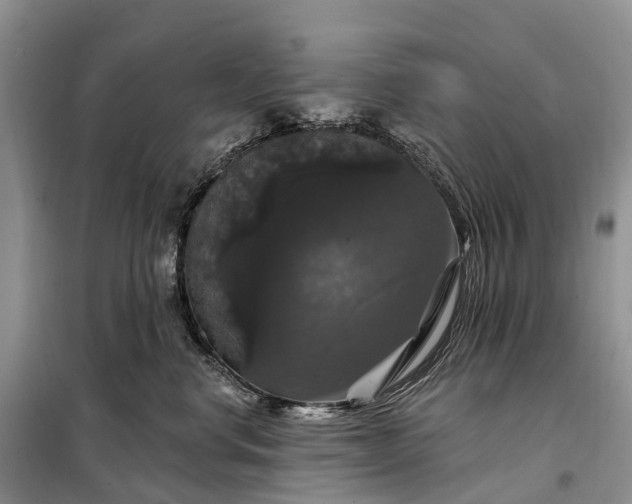 X0000097990668200804071153