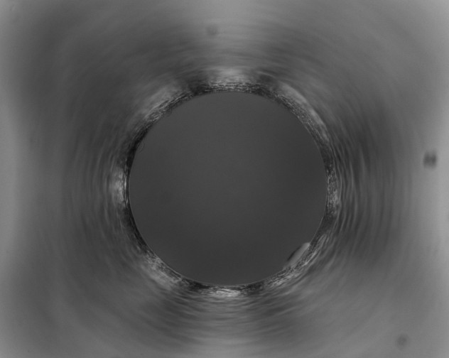 X0000097990669200804071153