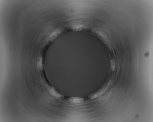 X0000097990670200804071153