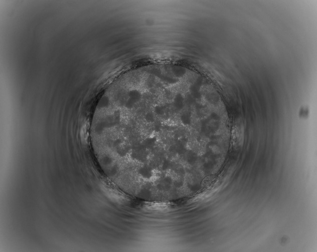 X0000097990671200804071153