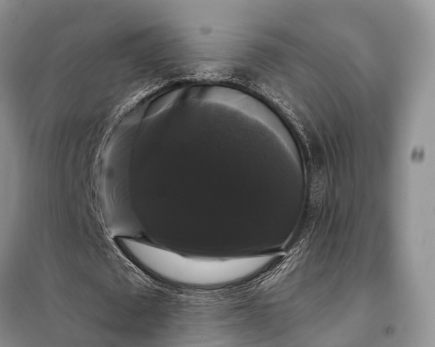 X0000097990673200804071152