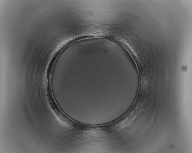 X0000097990674200804071152