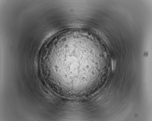 X0000097990675200804071152