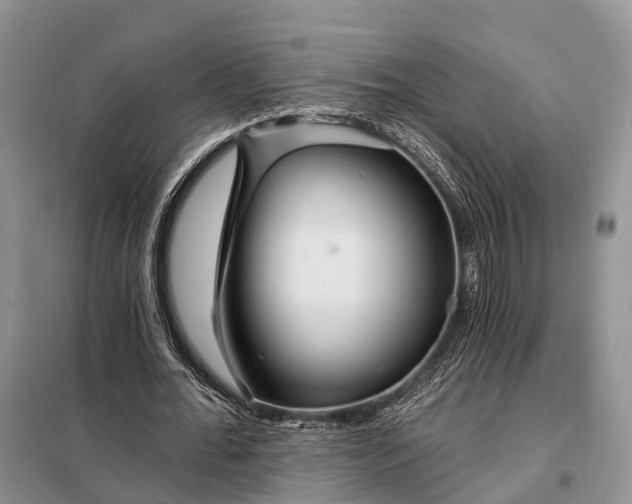 X0000097990676200804071152