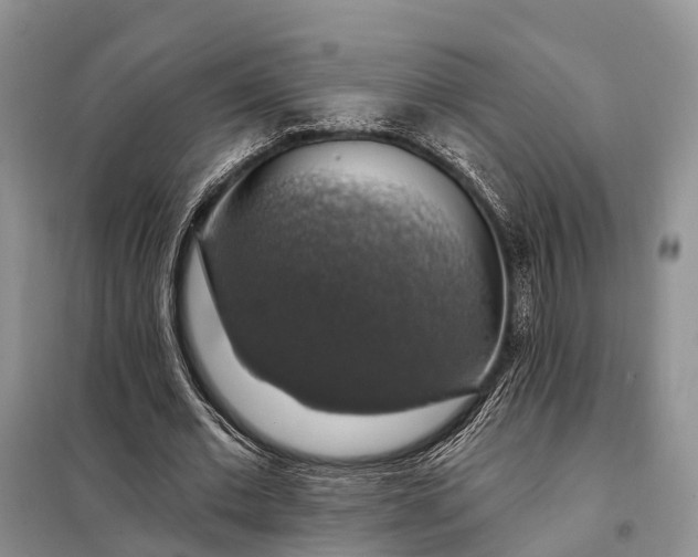 X0000097990677200804071152
