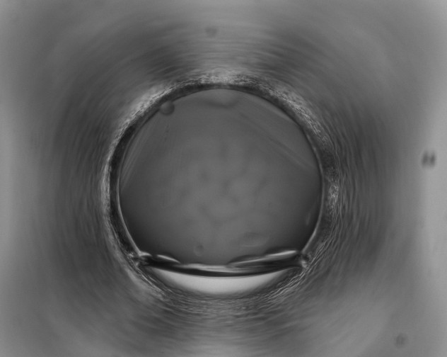 X0000097990678200804071152