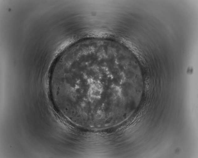 X0000097990679200804071152